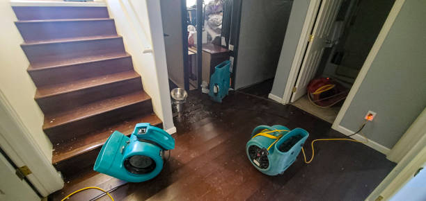 Best Flooded house restoration  in Kodi, AK