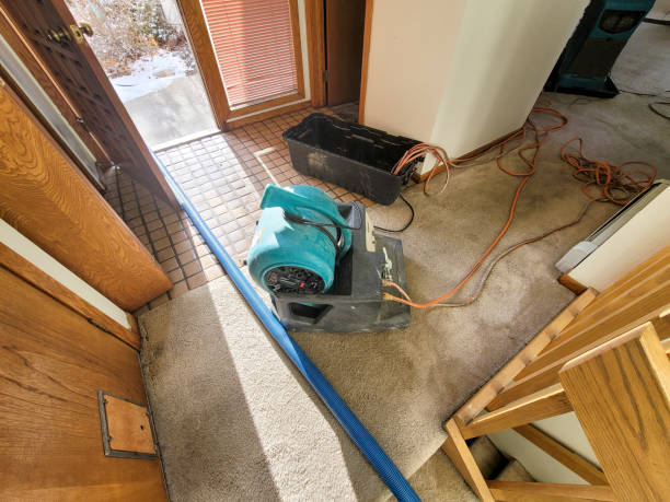 Best Emergency water damage restoration  in Kodi, AK