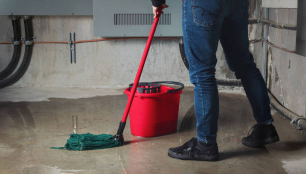 Water damage restoration experts in Kodiak, AK