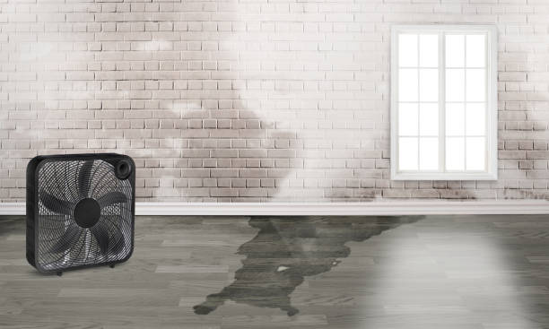 Kodiak, AK Water damage restoration Company