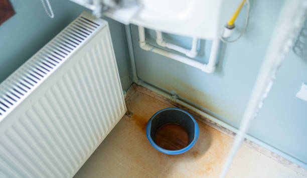 Best Water damage cleanup near me  in Kodi, AK